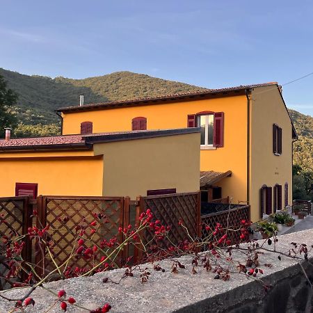 B&B La Fucinaia Pet Friendly Adults Only Campiglia Marittima Exterior photo