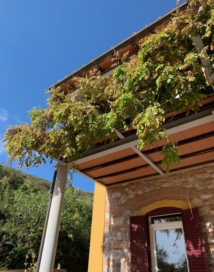 B&B La Fucinaia Pet Friendly Adults Only Campiglia Marittima Exterior photo