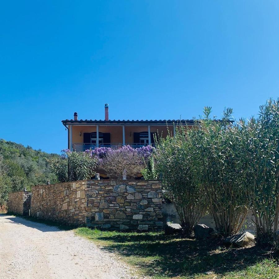 B&B La Fucinaia Pet Friendly Adults Only Campiglia Marittima Exterior photo