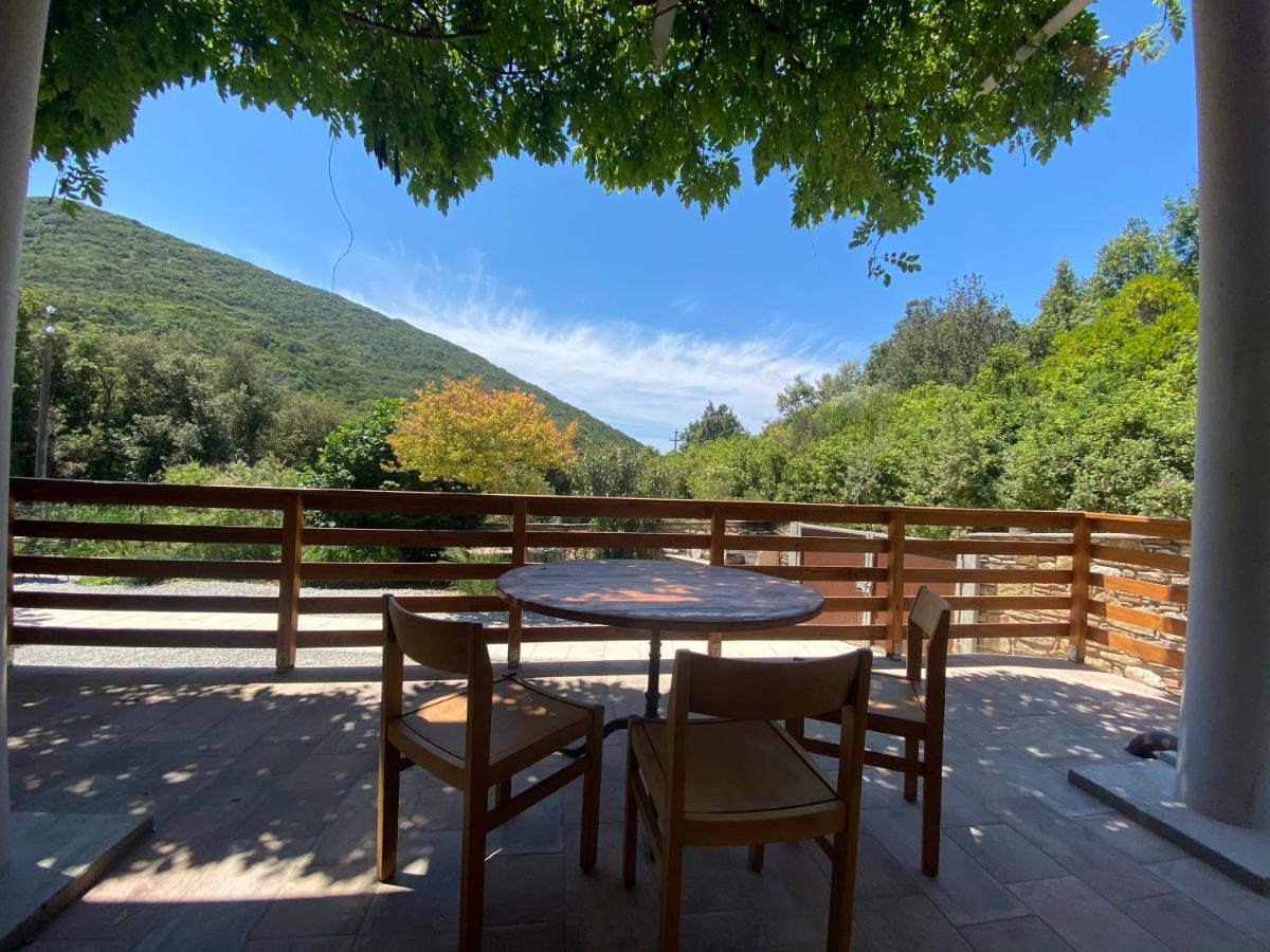 B&B La Fucinaia Pet Friendly Adults Only Campiglia Marittima Exterior photo