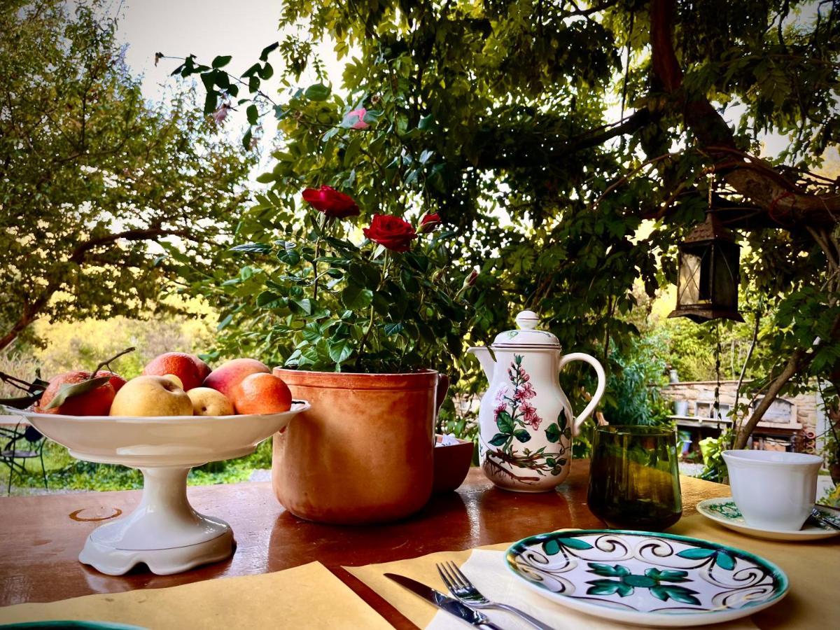 B&B La Fucinaia Pet Friendly Adults Only Campiglia Marittima Exterior photo