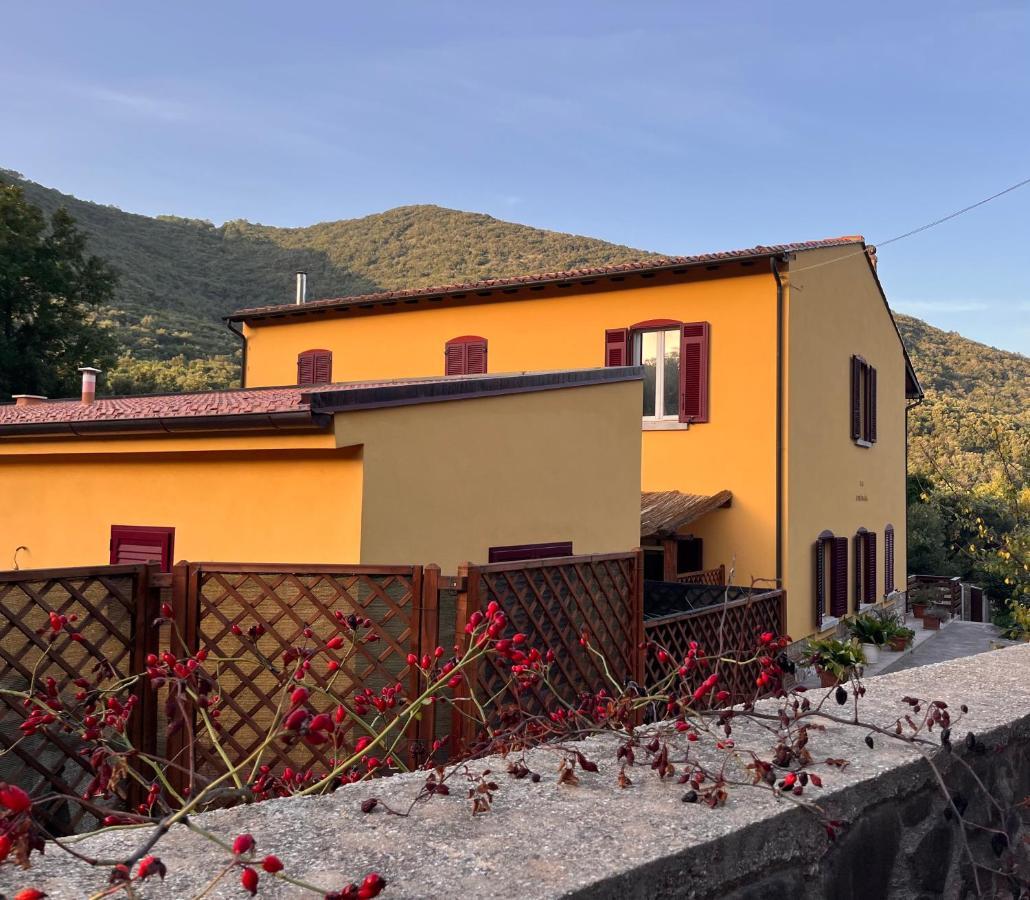 B&B La Fucinaia Pet Friendly Adults Only Campiglia Marittima Exterior photo