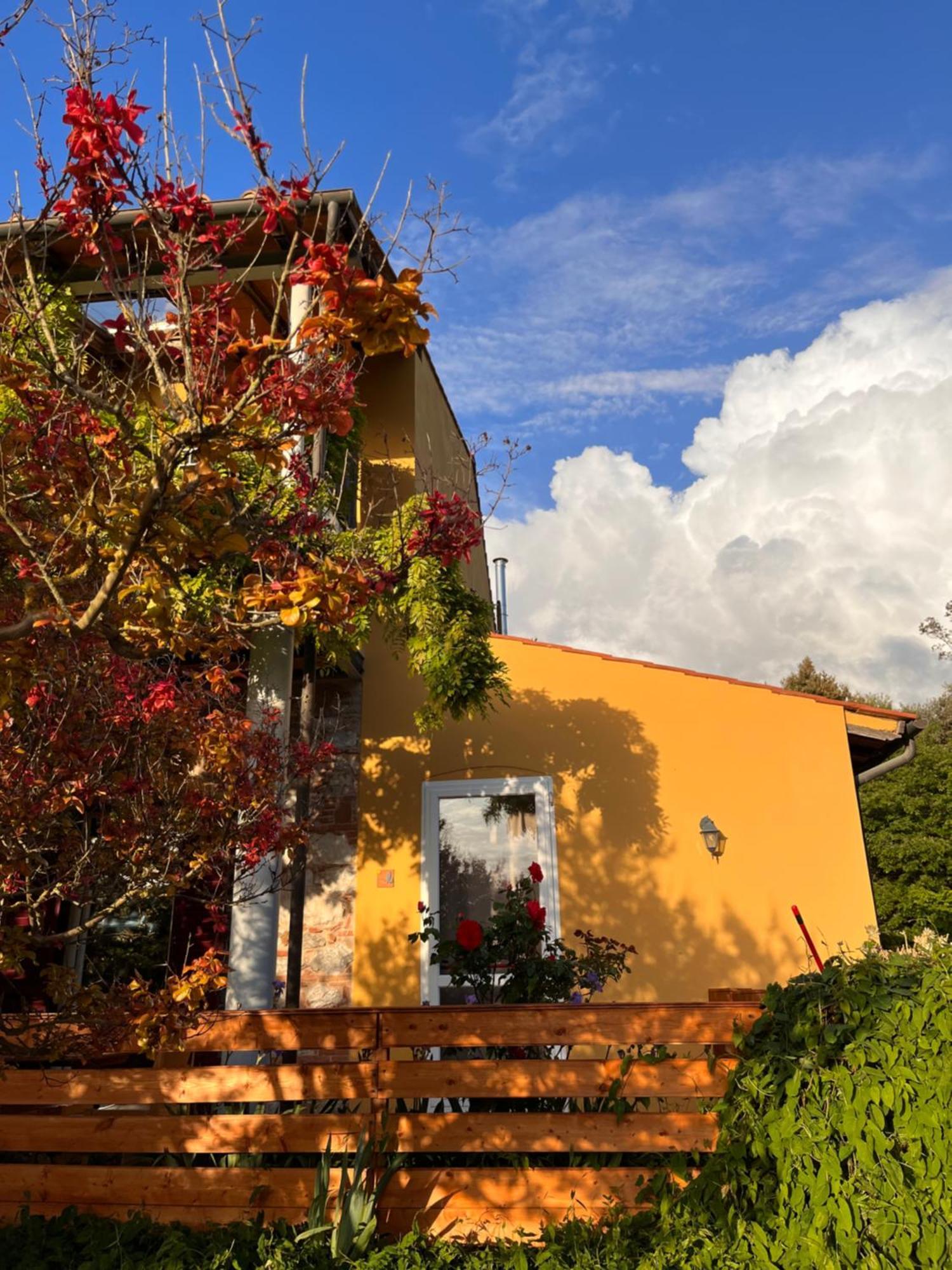 B&B La Fucinaia Pet Friendly Adults Only Campiglia Marittima Exterior photo