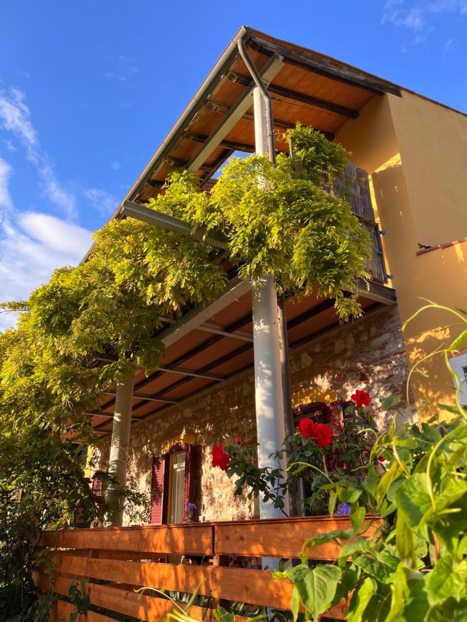 B&B La Fucinaia Pet Friendly Adults Only Campiglia Marittima Exterior photo