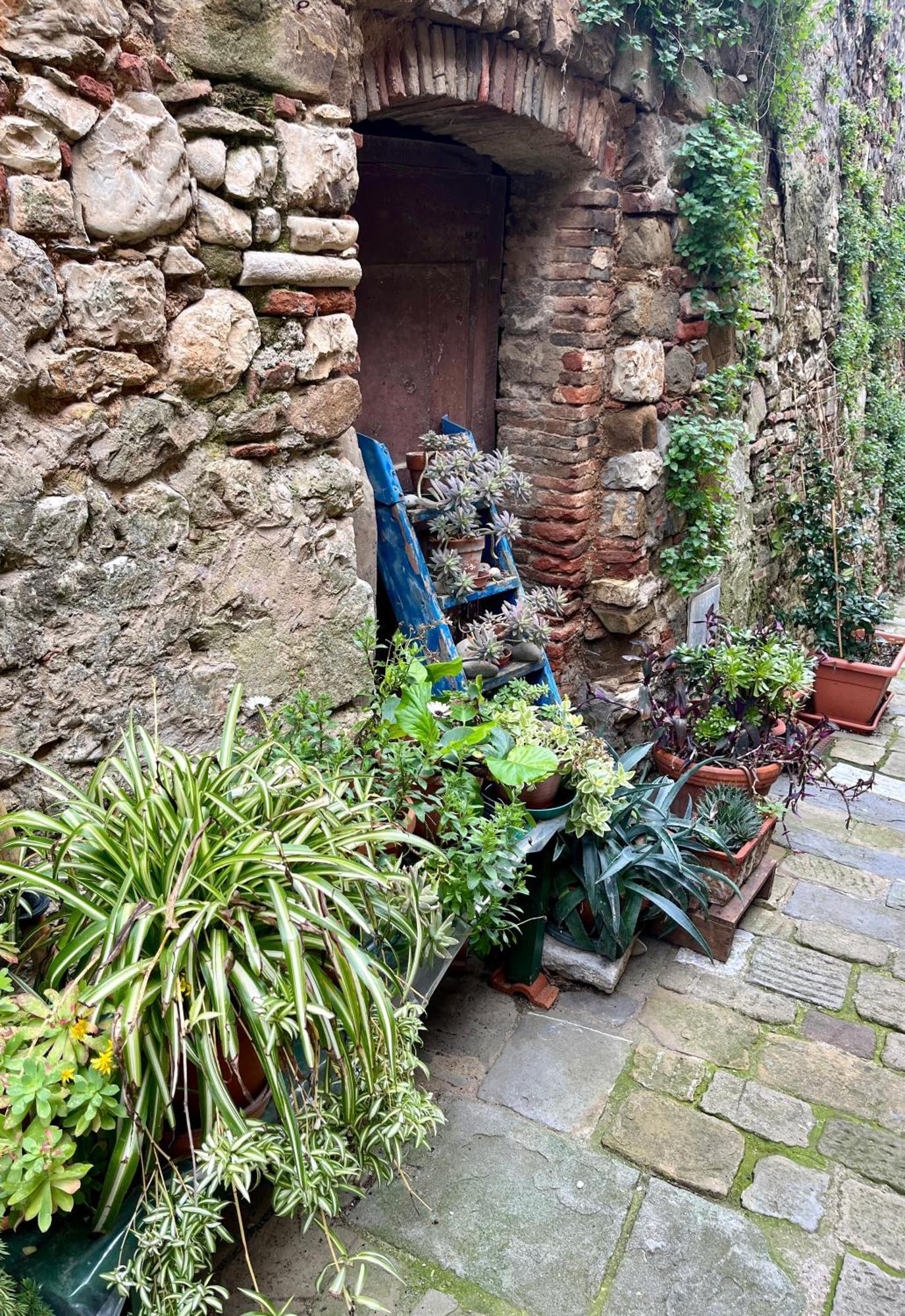 B&B La Fucinaia Pet Friendly Adults Only Campiglia Marittima Exterior photo
