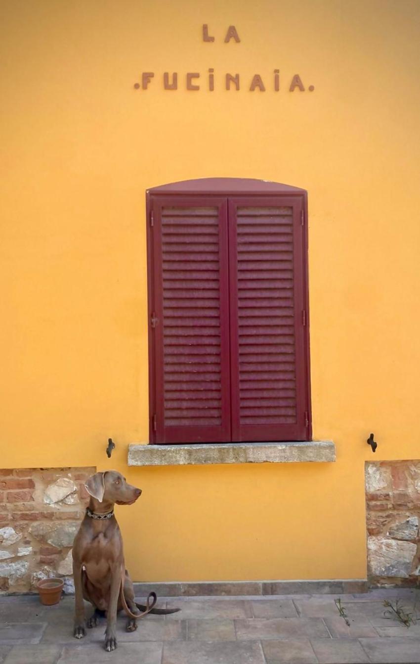 B&B La Fucinaia Pet Friendly Adults Only Campiglia Marittima Exterior photo