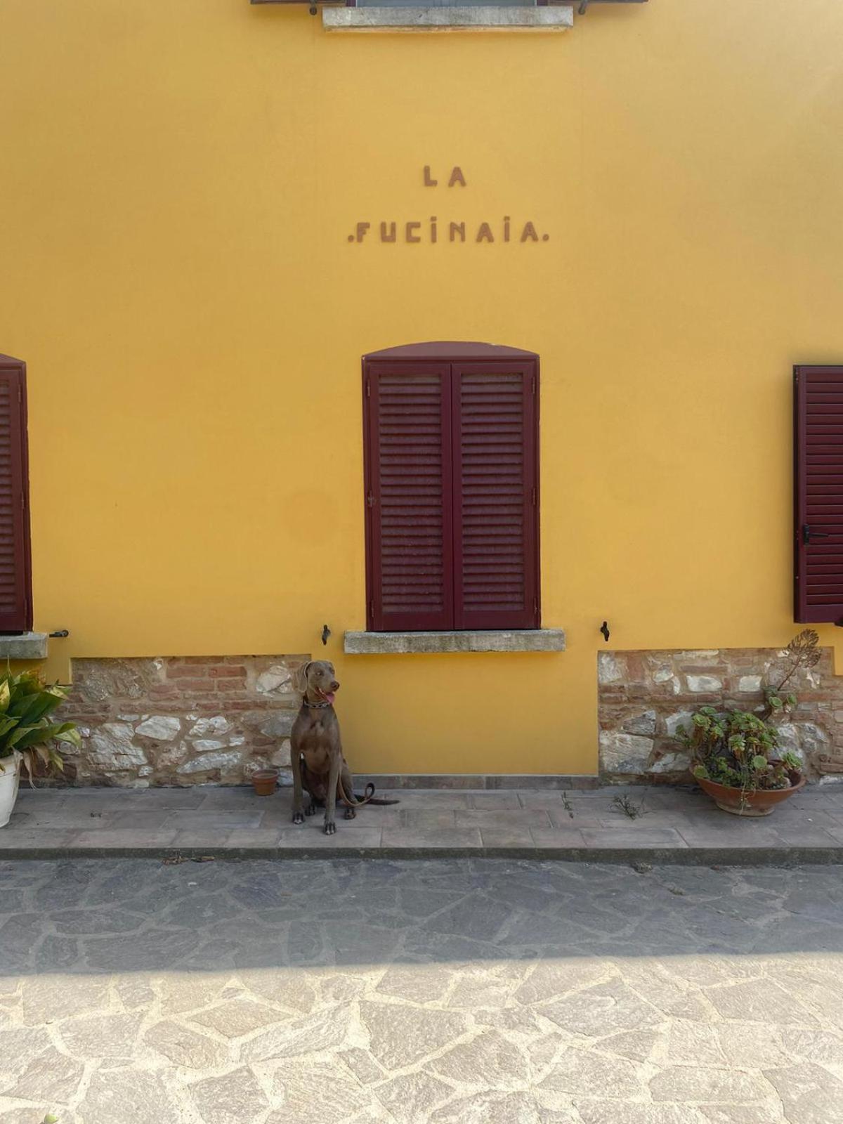 B&B La Fucinaia Pet Friendly Adults Only Campiglia Marittima Exterior photo